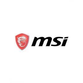 MSI